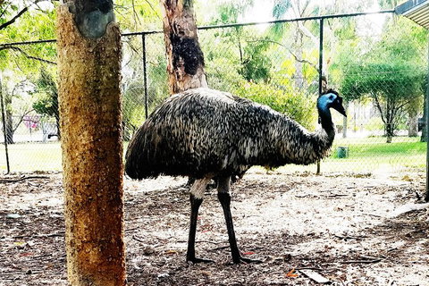 Swan Valley Tour - Attractions 9