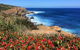 Cape To Cape End-to-End 8 Day Walking Experience - thumb 0