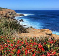 Cape to Cape End-to-End 8 Day Walking Experience - Attractions