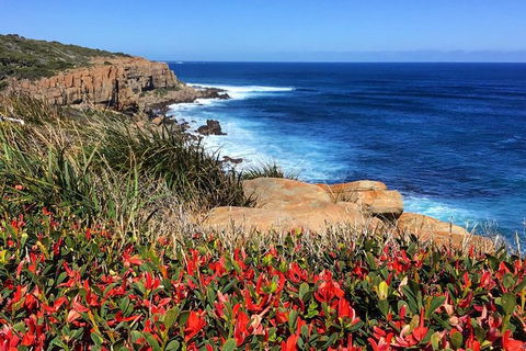 Cape To Cape End-to-End 8 Day Walking Experience - Attractions 0
