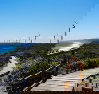 Torndirrup National Park and Bay Highlights - Attractions