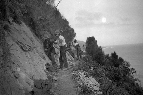 Great Ocean Road Private Tour - Attractions 8