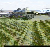 Puffing Billy Train and Yarra Valley Food and Wine Day Trip from Melbourne - Attractions