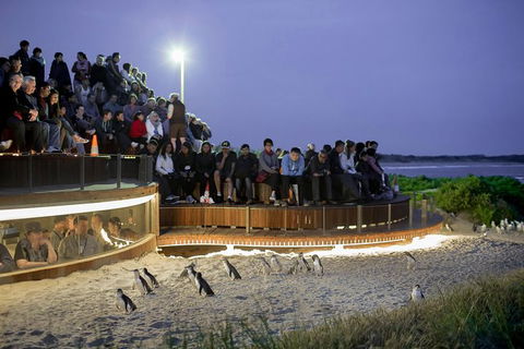 Small-Group Phillip Island Day Trip From Melbourne With Penguin Plus Viewing - Attractions 0