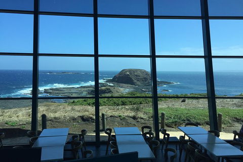 Small-Group Phillip Island Day Trip From Melbourne With Penguin Plus Viewing - Attractions 12