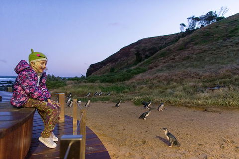 Small-Group Phillip Island Day Trip From Melbourne With Penguin Plus Viewing - Attractions 14