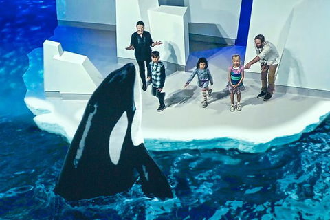 Small-Group Phillip Island Day Trip From Melbourne With Penguin Plus Viewing - Attractions 10