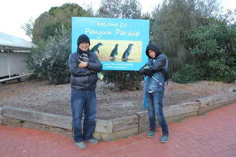 Phillip Island Tour From Melbourne - Attractions 15