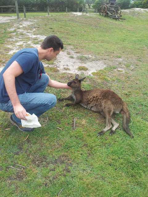 Phillip Island Tour From Melbourne - Attractions 24