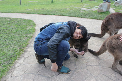 Phillip Island Tour From Melbourne - Attractions 13