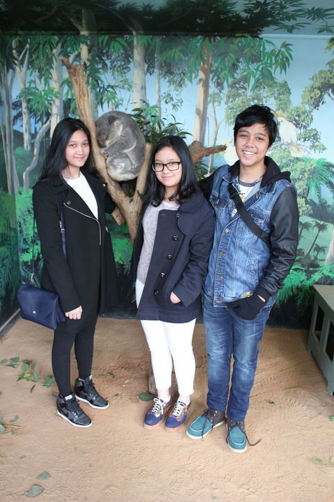 Phillip Island Tour From Melbourne - Attractions 14