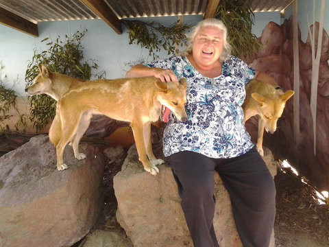 Phillip Island Tour From Melbourne - Attractions 9