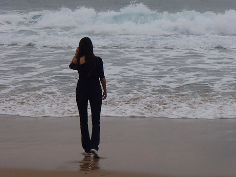 Phillip Island Tour From Melbourne - Attractions 21