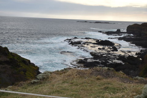 Phillip Island Tour From Melbourne - Attractions 5