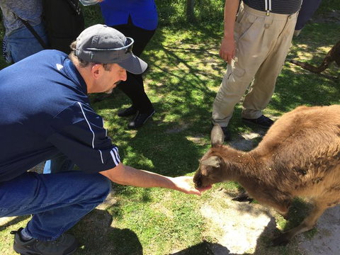 Phillip Island Tour From Melbourne - Attractions 8