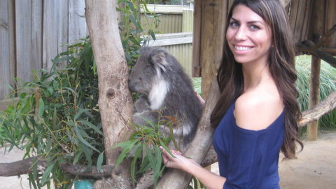 Phillip Island Tour From Melbourne - Attractions 20