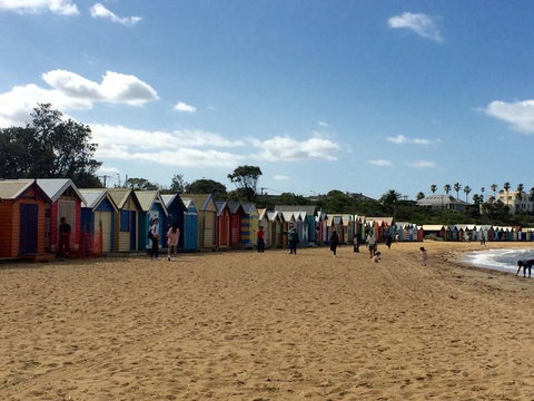 Half-Day Or Full-Day Tour With Private Guide From Melbourne - Attractions 5