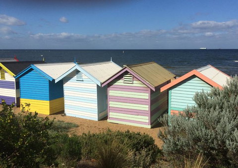 Half-Day Or Full-Day Tour With Private Guide From Melbourne - Attractions 2