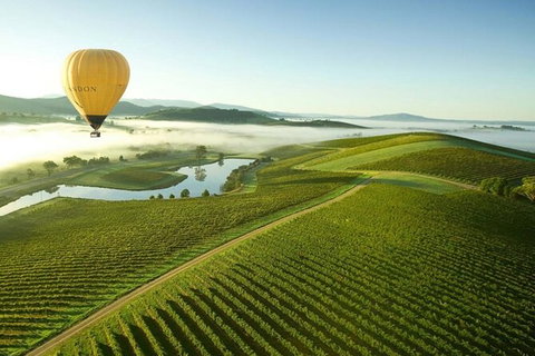 Half-Day Or Full-Day Tour With Private Guide From Melbourne - Attractions 7