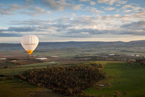 Yarra Valley Balloon Flight And Winery Tour - Attractions 12