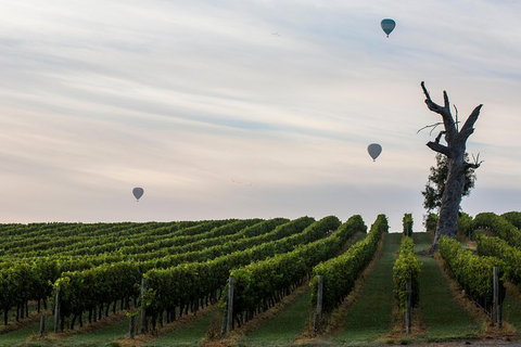 Yarra Valley Balloon Flight And Winery Tour - Attractions 19