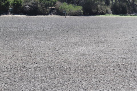 Koalas And Kangaroo In The Wild Tour From Melbourne - Attractions 5