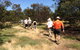 Koalas And Kangaroo In The Wild Tour From Melbourne - thumb 19