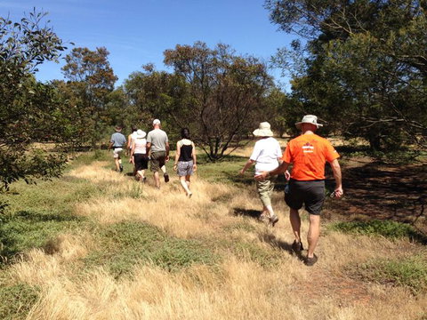 Koalas And Kangaroo In The Wild Tour From Melbourne - Attractions 19