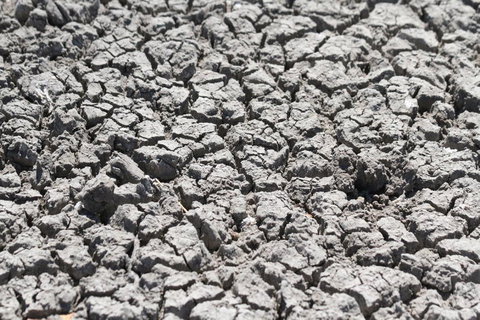 Koalas And Kangaroo In The Wild Tour From Melbourne - Attractions 4