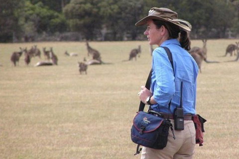Koalas And Kangaroo In The Wild Tour From Melbourne - Attractions 1