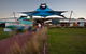 Express Expedition To Phillip Island Penguin Wildlife Encounter Evening Tour - thumb 1