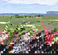 Alternative Yarra Valley Wine Tasting Tour Departing from Melbourne - Attractions