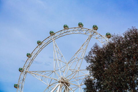 City Sightseeing Melbourne Hop-On Hop-Off Bus Tour - Attractions 8