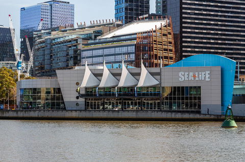 City Sightseeing Melbourne Hop-On Hop-Off Bus Tour - Attractions 7