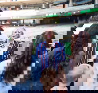 Melbourne Cricket Ground MCG Tour