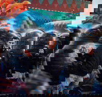 Fitzroy's Dark History  Hidden Bars