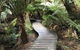 Full-Day Great Ocean Road And 12 Apostles Sunset Tour From Melbourne - thumb 8