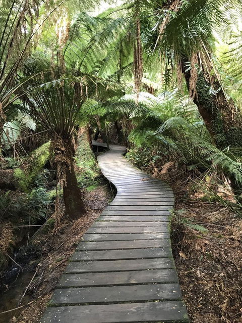 Full-Day Great Ocean Road And 12 Apostles Sunset Tour From Melbourne - Attractions 8
