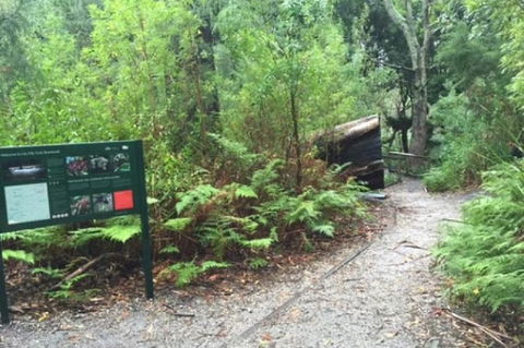 Wilsons Promontory Walking And Sightseeing Tour From Phillip Island - Attractions 1