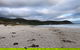 Wilsons Promontory Walking And Sightseeing Tour From Phillip Island - thumb 11