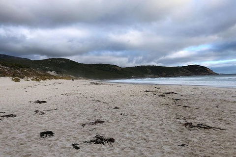 Wilsons Promontory Walking And Sightseeing Tour From Phillip Island - Attractions 11
