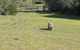 Wilsons Promontory Walking And Sightseeing Tour From Phillip Island - thumb 9