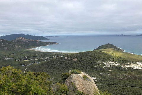 Wilsons Promontory Walking And Sightseeing Tour From Phillip Island - Attractions 12