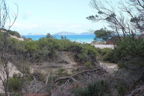 Wilsons Promontory Walking And Sightseeing Tour From Phillip Island - Attractions 14