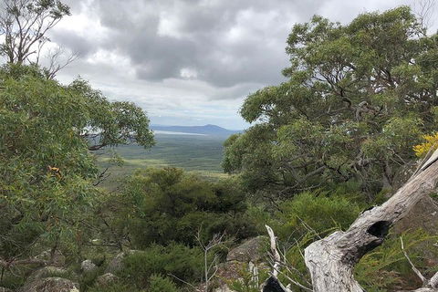 Wilsons Promontory Walking And Sightseeing Tour From Phillip Island - Attractions 13