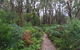Wilsons Promontory Walking And Sightseeing Tour From Phillip Island - thumb 6