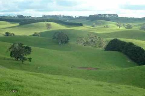 Day Tour Of Phillip Island & Surrounding Region - Attractions 0