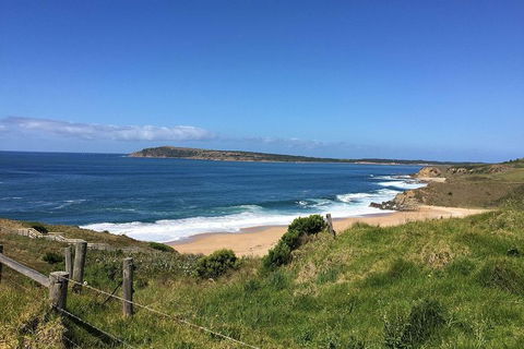 Day Tour Of Phillip Island & Surrounding Region - Attractions 5