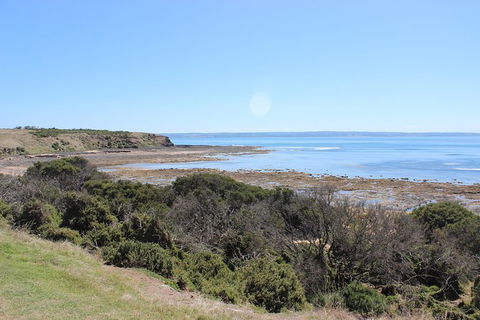 Day Tour Of Phillip Island & Surrounding Region - Attractions 2