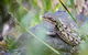 2-Day Melbourne To Adelaide Tour: Great Ocean Road And Grampians One Way Trip - thumb 4